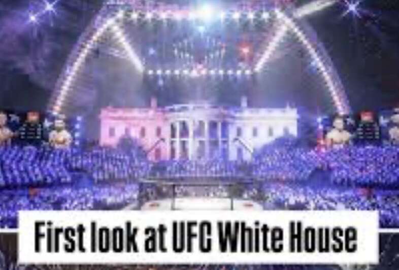 UFC, White House,