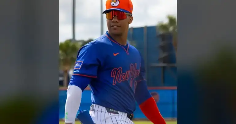 Juan Soto's 250th HR Is a Red Flag for Mets' $340M Bet